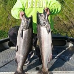 2016 Cowlitz River Spring Chinook Salmon Forecast