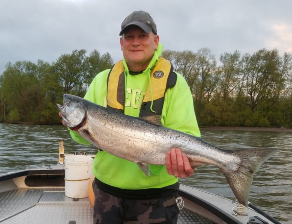 Columbia River Spring Chinook Salmon Fishing set 2016 • STS Guide Service